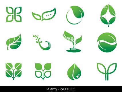 Abbildung mit Blättermotiv (Natur, Grün, Öko) Stock Vektor