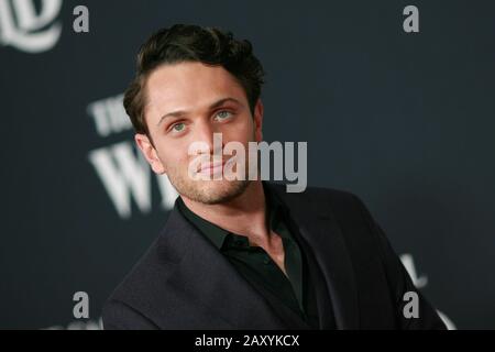 Los Angeles, Kalifornien, USA. Februar 2020. Hollywood, CA - 13. FEBRUAR; Colin Woodell bei Der "Call Of The Wild World Premiere" am 13. Februar 2020 im El Capitan Theatre in Hollywood, Kalifornien. Kredit: Tony Forte/MediaPunch Credit: MediaPunch Inc/Alamy Live News Stockfoto