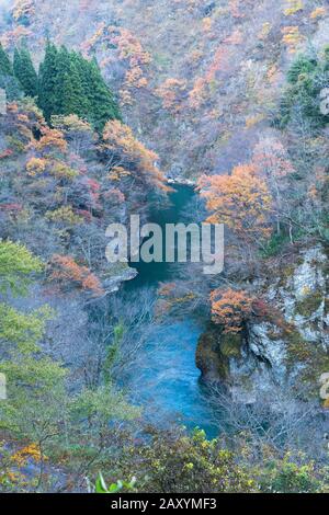 Herbstliche Farben entlang des Flusses Sho, Ainokura, Gokayama, Präfektur Toyama, Japan Stockfoto