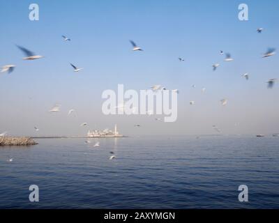 EIN BLICK AUF HAJI ALI MIT MÖWEN FYLING IM VORDERGRUND, MUMBAI, MAHARASHTRA, INDIEN, ASIEN Stockfoto