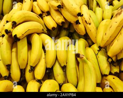 Nur Bananen schließen. Stockfoto