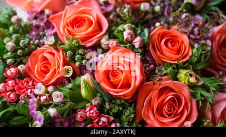 Schöne lebende Korallenrosen Blumen Blumenstrauß, romantische Beziehung und Blumendesign Konzept, Luxus-Blumenstrauß Blumen als Urlaub Liebe vorhanden auf Stockfoto