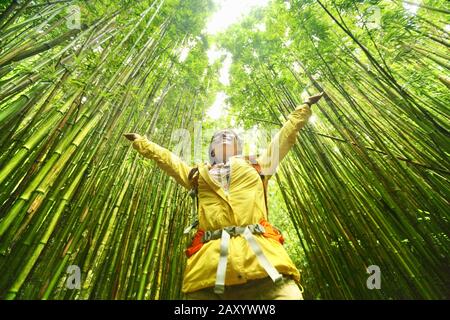 Bambuswald Natur Frau Umwelt Freiheit mit offenen Armen im Erfolg. Umweltfreundliches Nachhaltigkeitskonzept. Wanderer wandern auf dem Pipiwai Trail auf der berühmten Straße nach hana Travel, Maui, Hawaii. Stockfoto