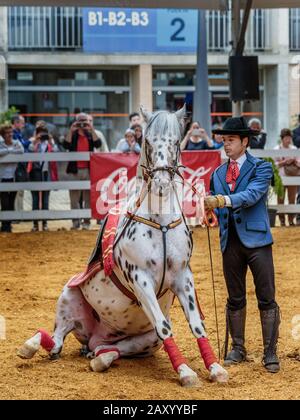 Verschiedene Pferdeveranstaltungen finden statt, darunter die Pferdedisziplin auf der jährlichen Pferderennausstellung Jerez (Feria de Caballo), Jerez de la Frontera, Andalusien, Spanien Stockfoto