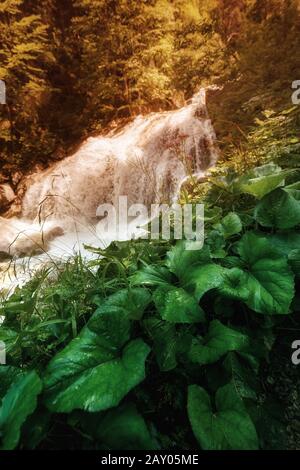 Majestätischer Wasserfall in der Nähe des Wanderweges in den bayerischen alpen. Reiseziele in der Natur Stockfoto