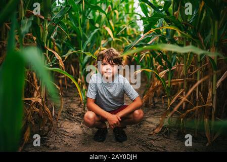 Portrait eines Jungen, der in einem Maisfeld, USA, kaut Stockfoto