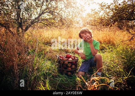 Junge, der in einem Obstgarten sitzt und einen apfel isst, USA Stockfoto