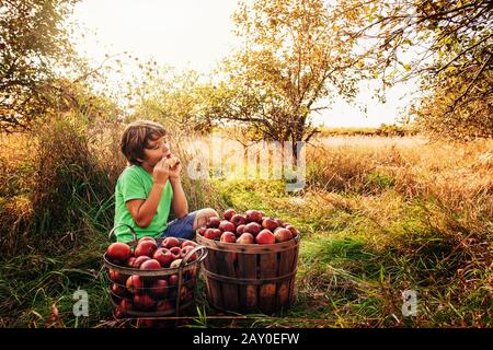 Junge, der in einem Obstgarten sitzt und einen apfel isst, USA Stockfoto