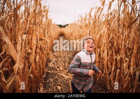 Glücklicher Junge, der im Herbst durch ein Maisfeld läuft, USA Stockfoto