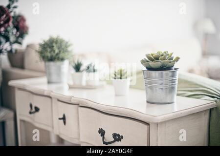 Saftige Pflanzen auf einer Sideboard im Wohnzimmer Stockfoto