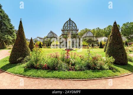 Gewächshausorangerie des botanischen Gartens von Lyon Stockfoto