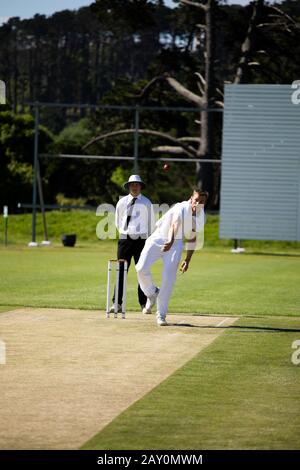 Cricket-Spieler trainieren auf dem Spielfeld Stockfoto