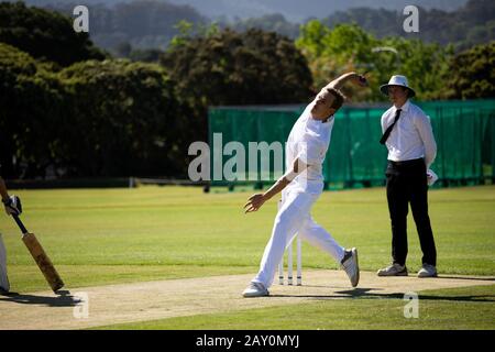 Cricket-Spieler trainieren auf dem Spielfeld Stockfoto