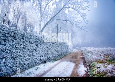 Weg durch eine frostige Landschaft, Schweiz Stockfoto