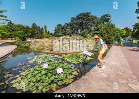 Juli 2019, Lyon, Frankreich: Junge Frau Reisende, die im botanischen Garten spazieren und Wasser lilly berühren Stockfoto