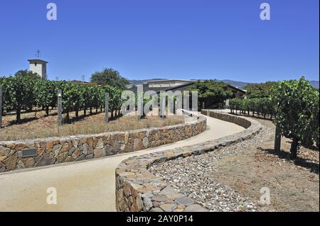 Blick auf die Weinberge von Robert Mondavi Winery, Napa Valley, Stockfoto