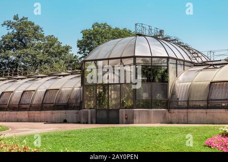 Gewächshausorangerie des botanischen Gartens von Lyon Stockfoto