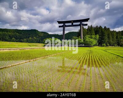 Das größte Torii-Tor der Welt am Eingang der heiligen Stätte des Kumano Hongu Taisha auf dem Kumano Kodo Pilgerweg in Wakyama, Japan Stockfoto