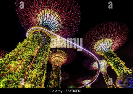 Supertrees, baumartige Strukturen, die eine große Attraktion in Gardens By The Bay, Singapur sind Stockfoto