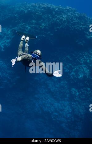 Freediver bewegt sich unter Wasser entlang des Korallenriffs Stockfoto