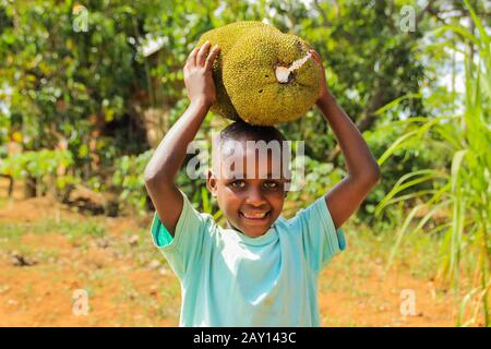 Kampala, Uganda - 26. Januar 2015: Afrikanisches Kind, das mit Früchten aus seiner Elternfarm auf einer Straße in Kampala spielt. Stockfoto