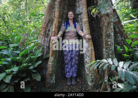 Ceiba ist eine Baumgruppe in der Familie Malvaceae, die in tropischen und subtropischen Gebieten Amerikas und dem tropischen Westafrika beheimatet ist.Plump Mädchen touri Stockfoto