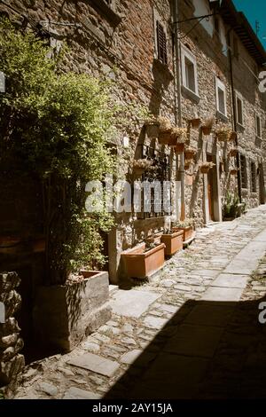 Toskana Straße im Frühling / Schmale Straße der italienischen Kleinstadt Cortona mit Steinhäusern Stockfoto