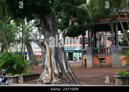 Fürst von Asturien Platz Stockfoto