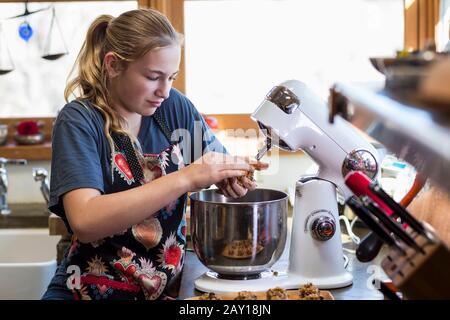 Dreizehnjähriges Mädchen im Teenager-Alter, das einen Mixer in der Küche verwendet. Stockfoto