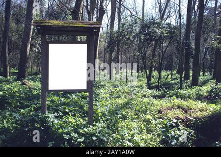 Informationstafel mit Platz für Text oder Logo inmitten eines frischen Grünwaldes Stockfoto