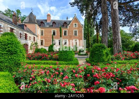 Frankreich, Indre et Loire-Tal, das von der UNESCO zum Weltkulturerbe erklärt wird, Amboise, Chateau du Clos Lucé Park und Gärten, Burg und Eibe und Buchsbaum zu Stockfoto