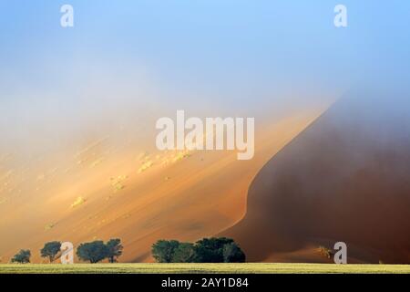 Düne im Morgennebel im Namib-Naukluft-Nationalpark Sossusvlei, Stockfoto