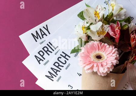 Kalender für Frühlingsmonate. März, April und Mai monatliche Papierkalender mit einem Blumenstrauß aus Frühlingsblumen. Draufsicht. Ansicht von oben. Federhintergrund Stockfoto