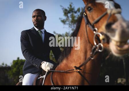 Mann, der an einem sonnigen Tag sein Dressurpferd reitet Stockfoto