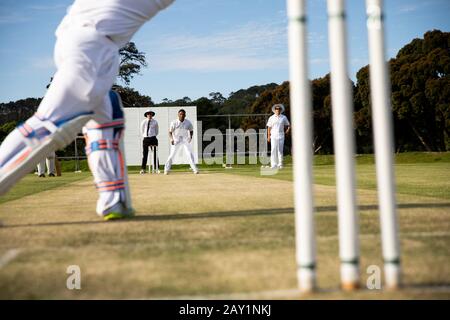 Cricket-Spieler trainieren auf dem Spielfeld Stockfoto