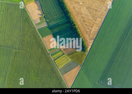 Geometrische Formen auf den Feldern aus den Plantagen wurden von einem Quadcopter aus der Luft entfernt. Stockfoto