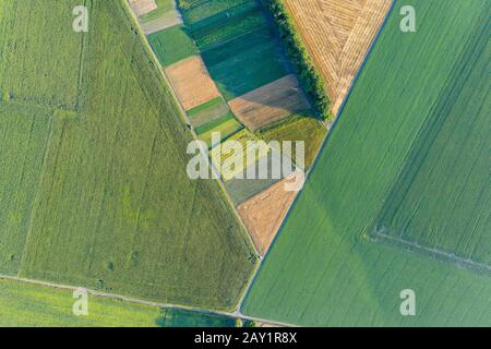 Geometrische Formen auf den Feldern aus den Plantagen wurden von einem Quadcopter aus der Luft entfernt. Stockfoto