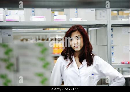 Junge fröhliche Arbeiterinnen im modernen Drogenlager Stockfoto