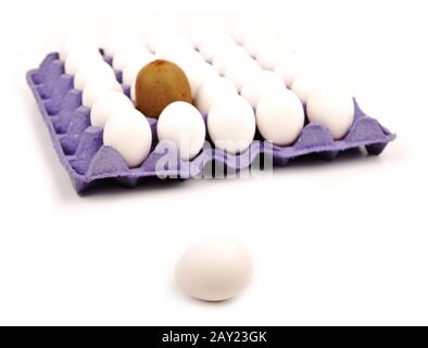 Ein Ei in einer Reihe Kiwis. Weißer Hintergrund. Konzept. Stockfoto