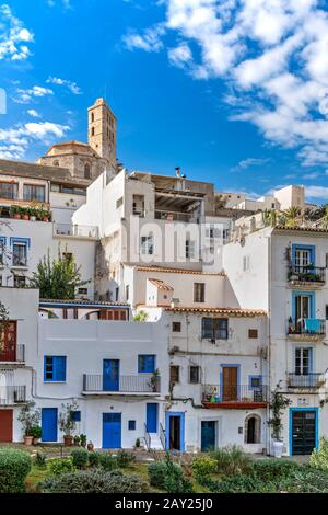 Kathedrale und Skyline der Altstadt, Dalt Vila, Ibiza, Balearen, Spanien Stockfoto