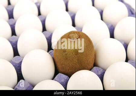 Allein Kiwi, als Ei vorgebend. Weißer Hintergrund. Einzigartiges Konzept, anderes. Stockfoto