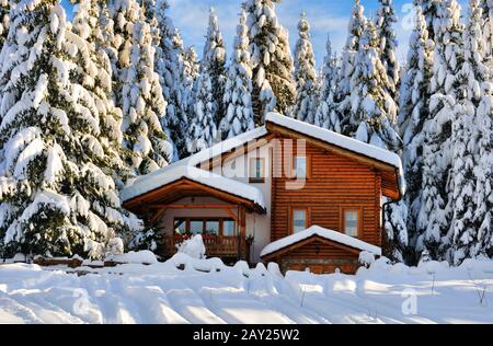 Winter schönes Schneehaus im Wald Stockfoto