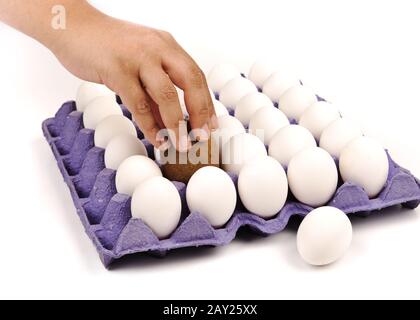 Kiwi, als Ei vorgeben. Weißer Hintergrund. Ersatz. Menschliches Handeln. Stockfoto