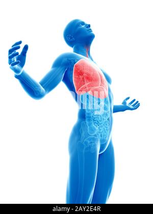 männliche posieren - Lung hervorgehoben Stockfoto