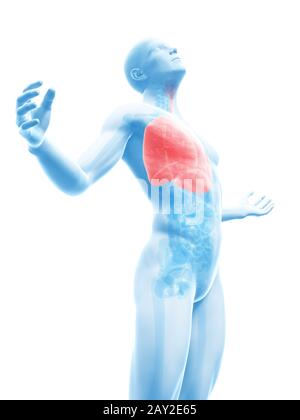 männliche posieren - Lung hervorgehoben Stockfoto