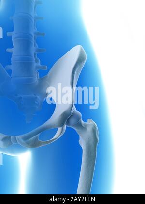 gerenderte Darstellung des Hüftgelenks Stockfoto