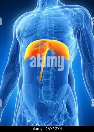 3D gerendert Illustration - Membran Stockfoto