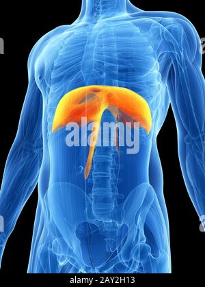 3D gerendert Illustration - Membran Stockfoto