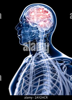 3D gerenderte Darstellung eines aktiven Gehirns Stockfoto