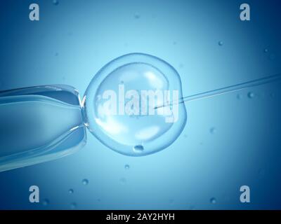 Nahaufnahme der in-vitro-Fertilisation (IVF). Stockfoto